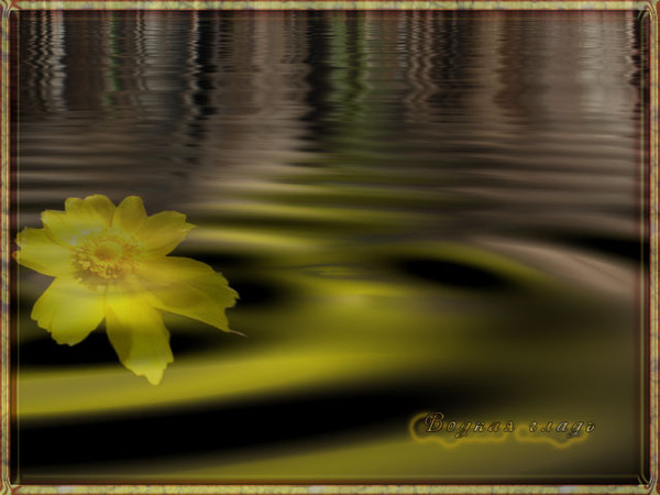  (600x450, 62Kb)