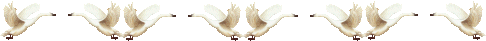(486x41, 6Kb)