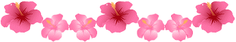  (345x62, 6Kb)