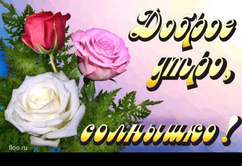  (500x342, 38Kb)