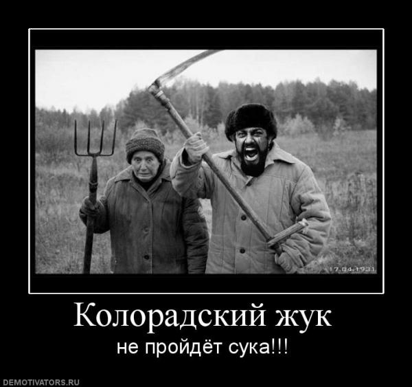 7f8ce6c99ef94fcf9d8ca9bb878b66bb_small (600x563, 40 Kb)