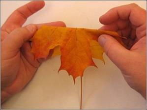 Цветочный букет ручной работы из листьев (инструкция в картинках)