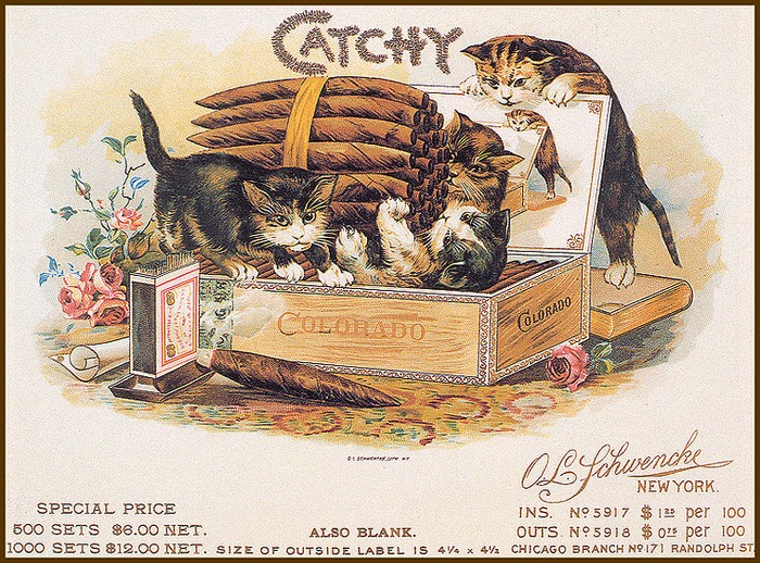Винтажные открытки с котами 2