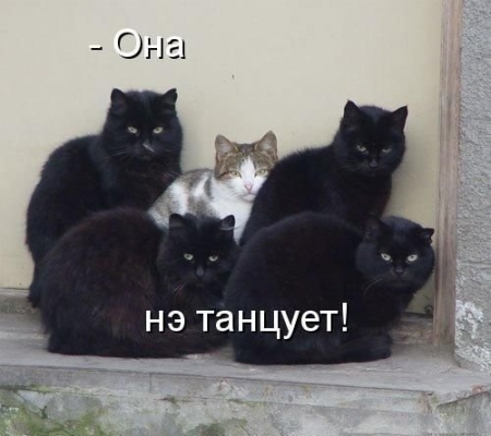  (450x400, 105Kb)