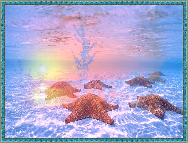  (636x486, 203Kb)