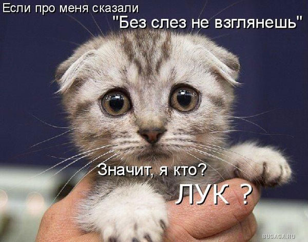 http://img0.liveinternet.ru/images/attach/c/1/45/771/45771172_b7fc2e6a02c1.jpg