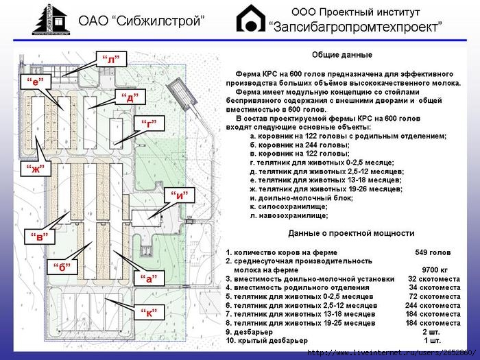 Какие функциональные зоны включает генеральный план животноводческой фермы