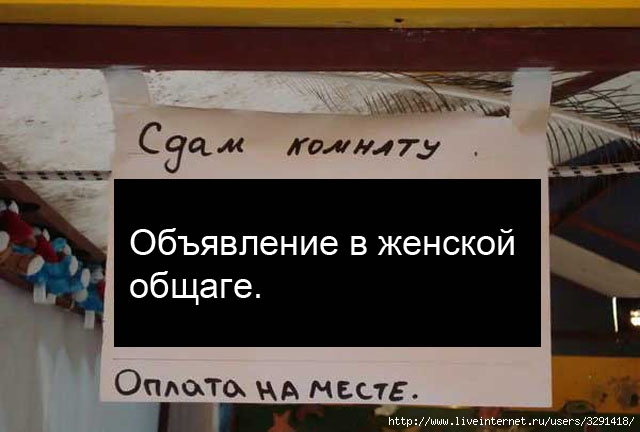 Объявления от женщин. Объявления метки происходит. Метки объявления. Объявление какть метко.