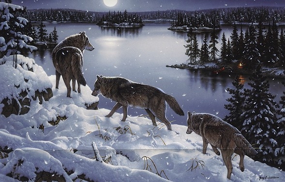 http://img0.liveinternet.ru/images/attach/c/1/49/615/49615721_50731.jpg