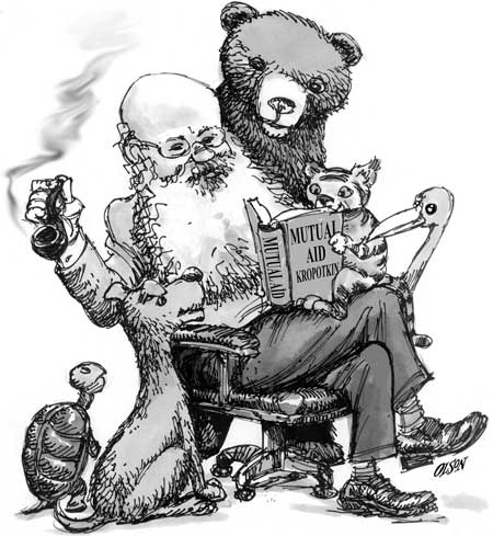 http://img0.liveinternet.ru/images/attach/c/1/49/809/49809229_1255364696_kropotkin11.jpg