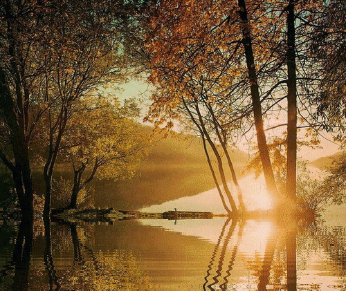 //img0.liveinternet.ru/images/attach/c/1/54/613/54613044_d1650933ef4f.gif