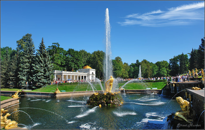 Вест сервис петергоф