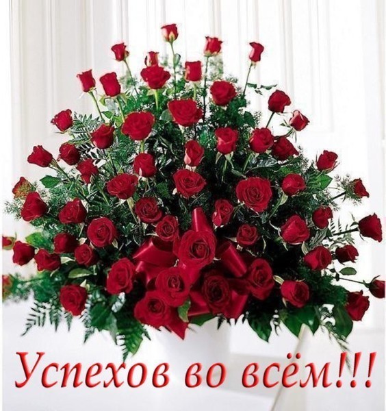 http://img0.liveinternet.ru/images/attach/c/1/56/182/56182066_c32d6e99f99a.jpg