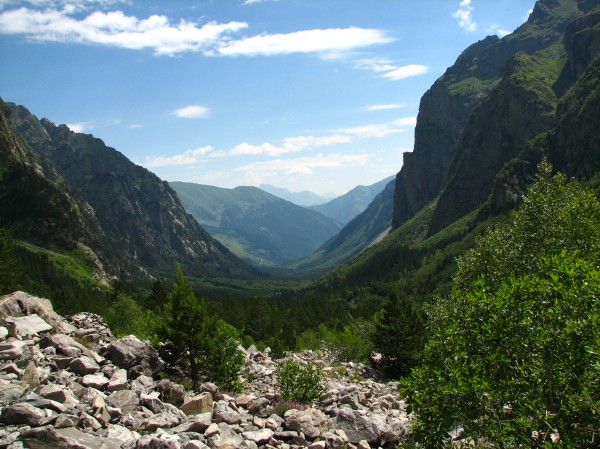 Цейское ущелье канатка фото