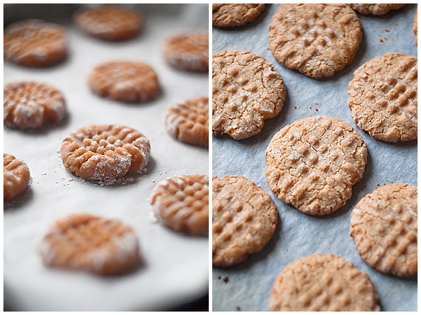 Запись cookies. Печенье с кардамоном. Творожное печенье с кардамоном. Печенье домашнее с кардамоном. Печенье вкусная мама.