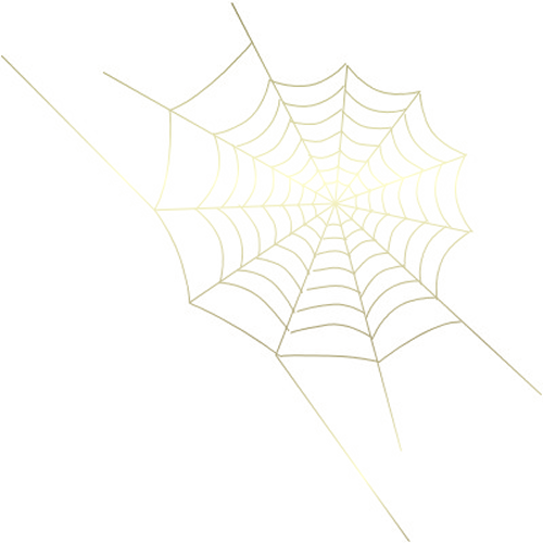 Паутина на белом фоне рисунок