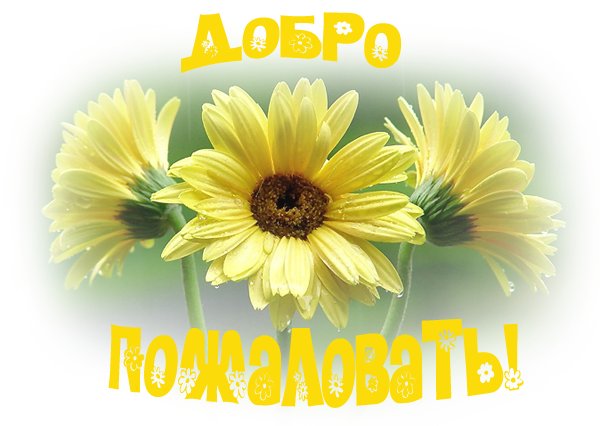 http://img0.liveinternet.ru/images/attach/c/1/61/425/61425553_1ad99d3dea71.jpg
