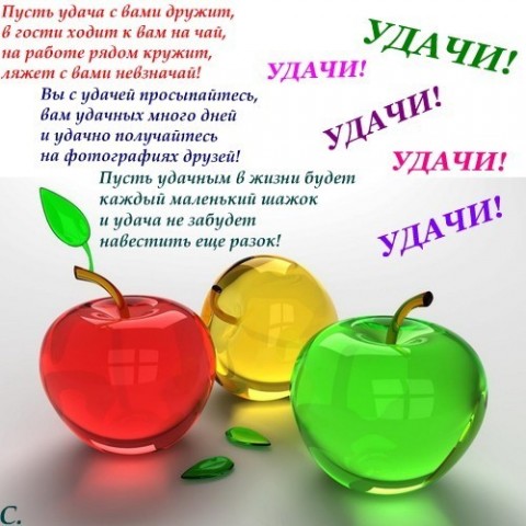 http://img0.liveinternet.ru/images/attach/c/1/61/447/61447785_l.jpg