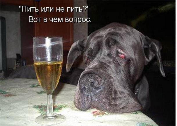 Открытка выпить хочу, православная благодарю тексты