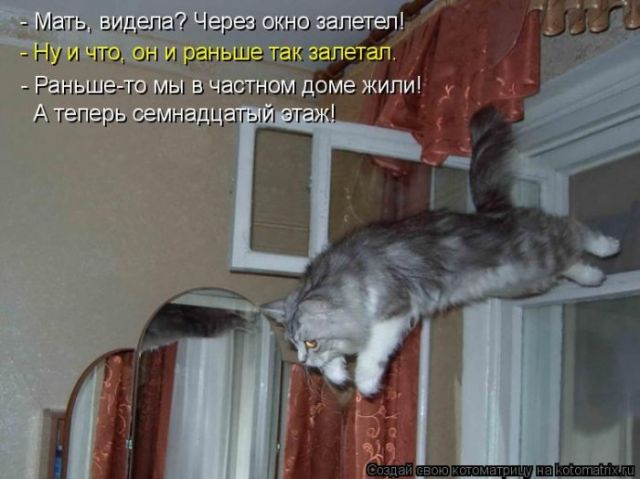 http://img0.liveinternet.ru/images/attach/c/1/61/819/61819445_s3img_46944326_26292_1.jpg