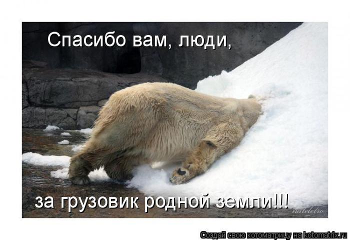 http://img0.liveinternet.ru/images/attach/c/1/61/973/61973429_1280139494_cats_250410_41.jpg