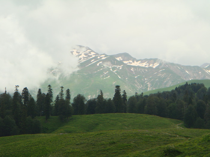 Гора Мамзышха Абхазия