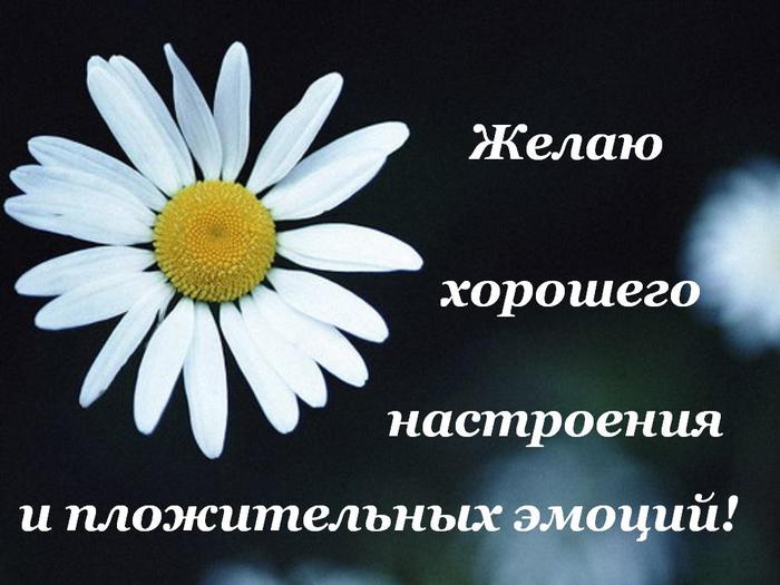 Спасибо хорошего дня. Спасибо отличного настроения. Положительных эмоций на весь день. Хорошего настроения и положительных эмоций. Спасибо и вам отличного настроения.