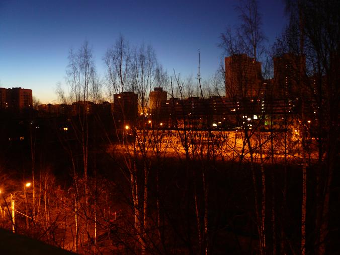 Город лесной санкт петербург. Лес Оле Петровка.