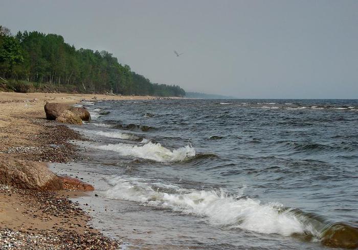 Балтийское море калининград фото моря