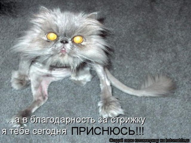 http://img0.liveinternet.ru/images/attach/c/1/62/866/62866895_s3img_55546277_22489_1.jpg