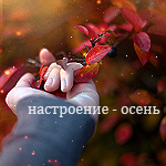 http://img0.liveinternet.ru/images/attach/c/1/63/523/63523637_f10.jpg