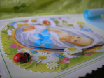  P1010689 (700x525, 224Kb)