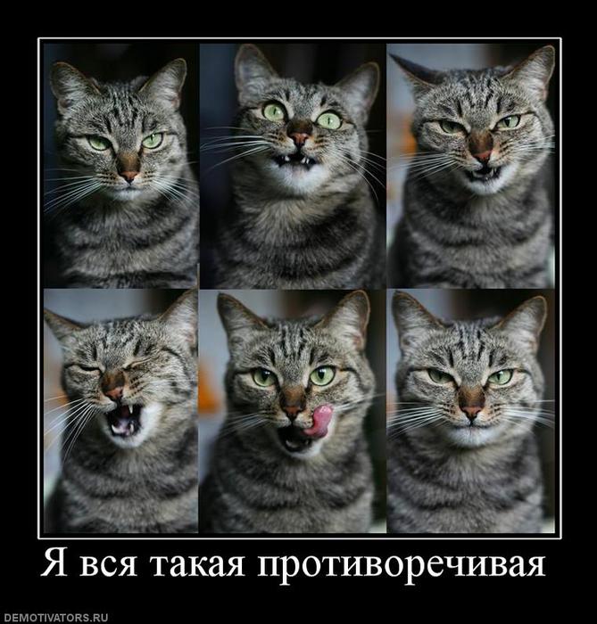 279449_ya-vsya-takaya-protivorechivaya (669x700, 71Kb)