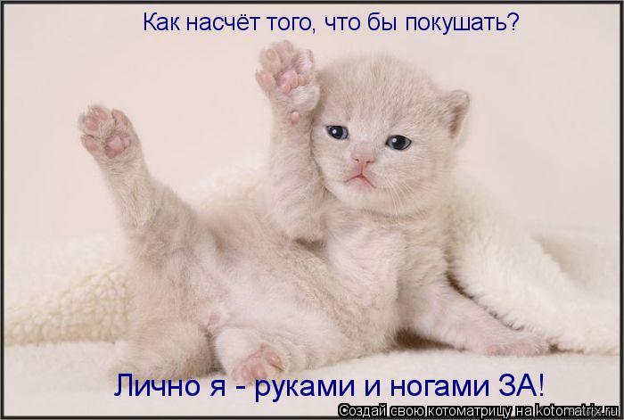 berloga.net_1488677108 (700x471, 41Kb)