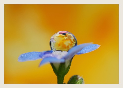 0_2ea07_4d4c867d_L (500x359, 31Kb)