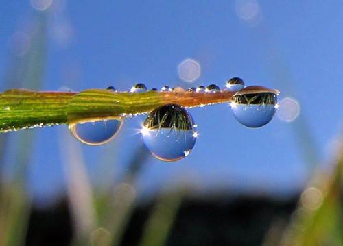 0_783a0_30d3d42c_L (500x359, 33Kb)