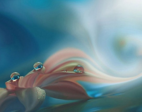 1287046320_1-5 (592x469, 28Kb)