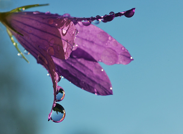 DSC_0013 (600x439, 50Kb)