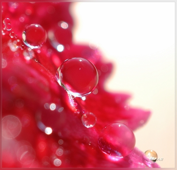 DSC_0184_hf (600x576, 182Kb)