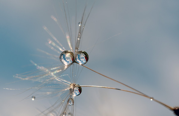 DSC_0369 (600x388, 32Kb)