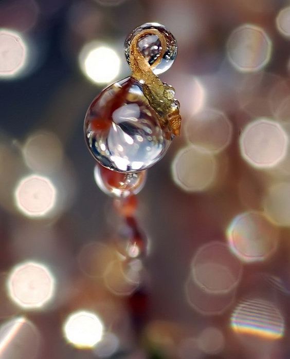 Kap_7 (564x700, 39Kb)