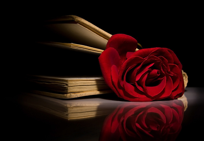 3951799_Rose_in_book_by_Suzia81 (700x484, 58Kb)