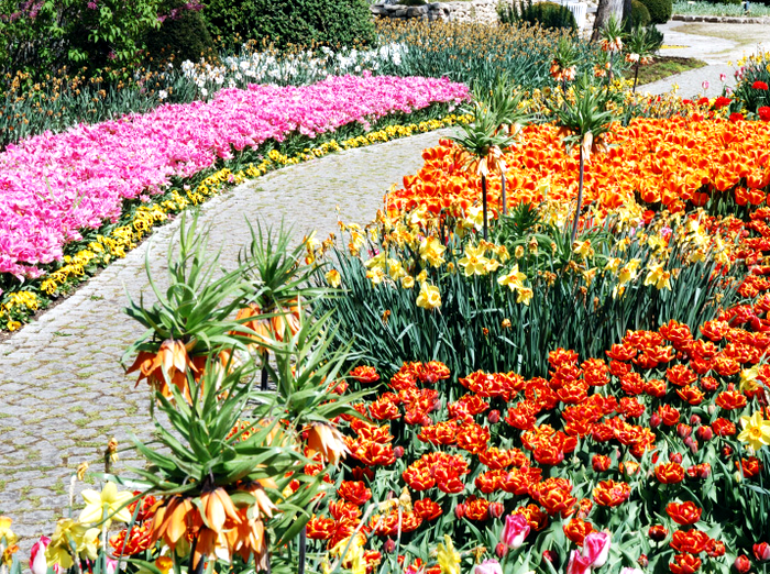 flower_garden_theme.jpg ( JPEG, 720x540 ) (700x522, 1002Kb)