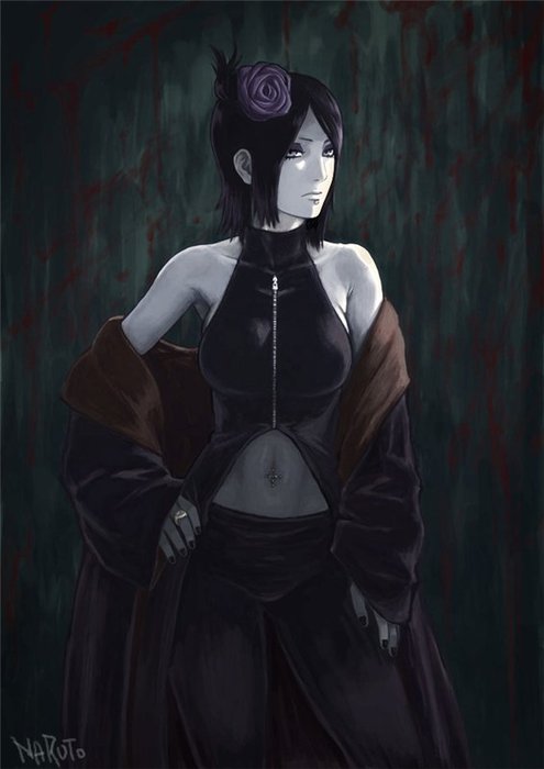 3628373_105855a9d319 (495x700, 35Kb)