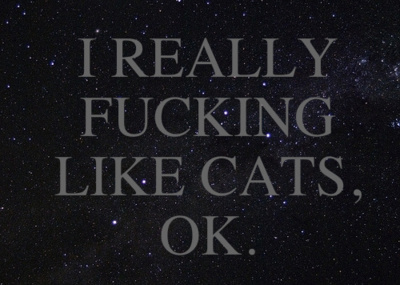 tumblr_ldqbhbXJuc1qb6ddyo1_400_large (400x285, 55Kb)