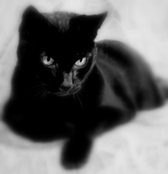171597-1-f (343x356, 14Kb)