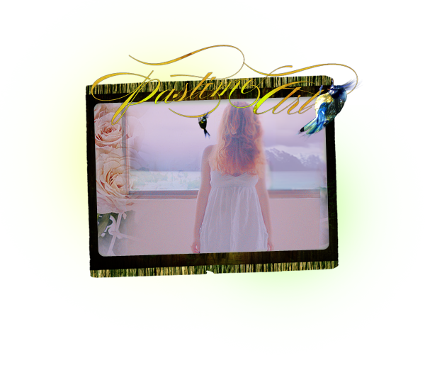  (, ) (600x550, 258Kb)