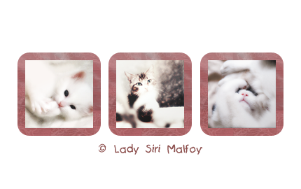 Preview_of- (430x270, 62Kb)