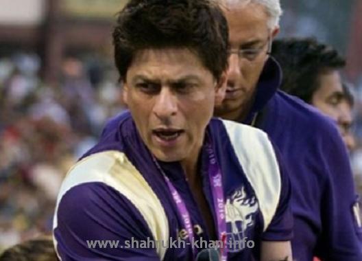 SRK_on_match_KKR_2010 (528x380, 25Kb)