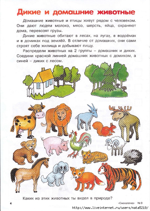 Схема развития животных 7 класс